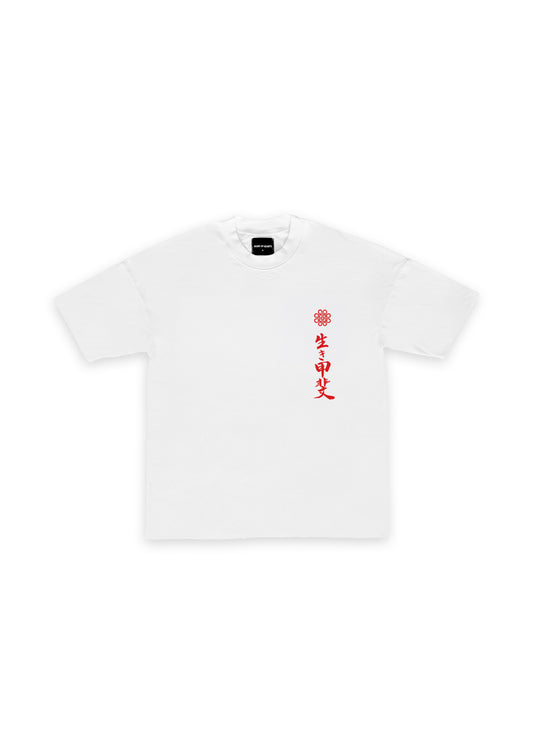 Ikigai Vol 2 Heavyweight Graphic T-Shirt - White