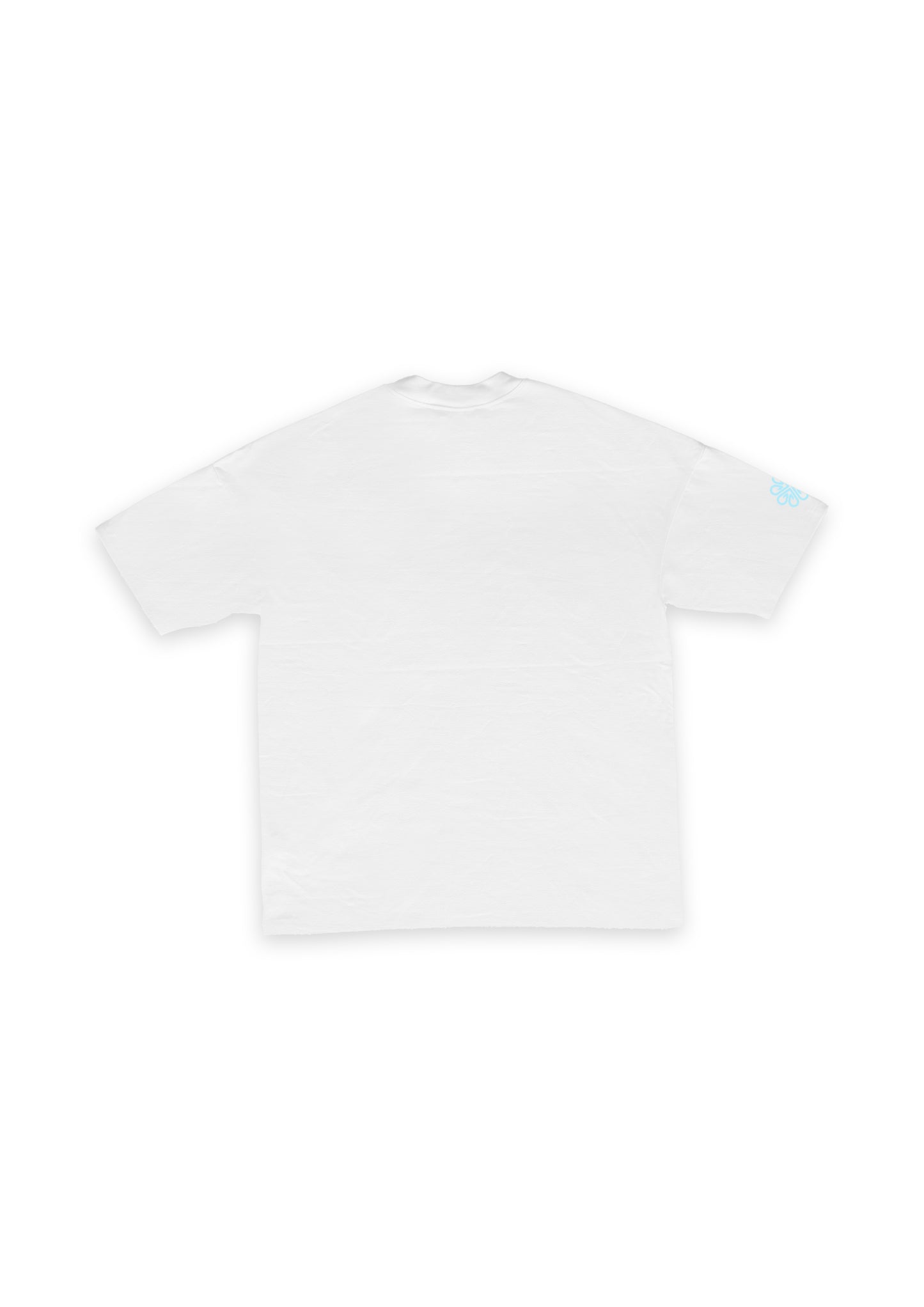 SKY BLUE VARSITY T-SHIRT